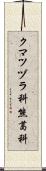 クマツヅラ科 Scroll