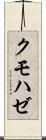 クモハゼ Scroll