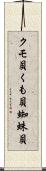 クモ貝;くも貝;蜘蛛貝 Scroll