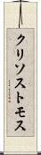 クリソストモス Scroll