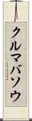 クルマバソウ Scroll