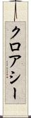 クロアシー Scroll