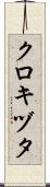 クロキヅタ Scroll