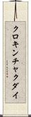 クロキンチャクダイ Scroll