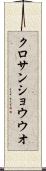 クロサンショウウオ Scroll