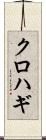 クロハギ Scroll