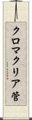 クロマクリア管 Scroll