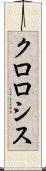 クロロシス Scroll