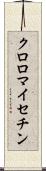 クロロマイセチン Scroll