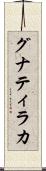 グナティラカ Scroll