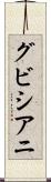 グビシアニ Scroll