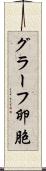 グラーフ卵胞 Scroll