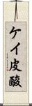 ケイ皮酸 Scroll