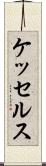 ケッセルス Scroll