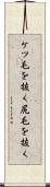 ケツ毛を抜く Scroll