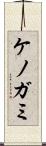 ケノガミ Scroll