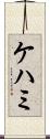 ケハミ Scroll