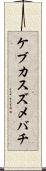 ケブカスズメバチ Scroll