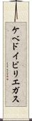 ケベドイビリエガス Scroll