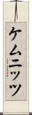 ケムニッツ Scroll