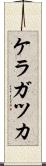 ケラガツカ Scroll