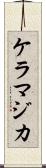 ケラマジカ Scroll