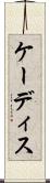 ケーディス Scroll