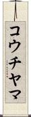 コウチヤマ Scroll