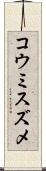 コウミスズメ Scroll