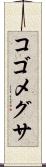 コゴメグサ Scroll