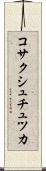 コサクシュチュツカ Scroll