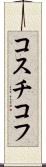 コスチコフ Scroll
