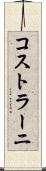 コストラーニ Scroll