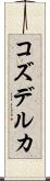 コズデルカ Scroll