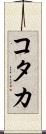コタカ Scroll