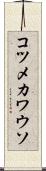 コツメカワウソ Scroll