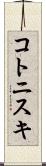 コトニスキ Scroll