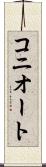 コニオート Scroll
