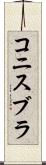 コニスブラ Scroll