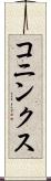 コニンクス Scroll