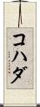 コハダ Scroll
