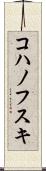 コハノフスキ Scroll