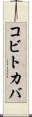 コビトカバ Scroll