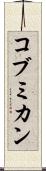 コブミカン Scroll