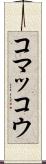 コマッコウ Scroll