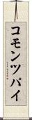 コモン・ツパイ Scroll