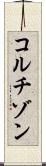 コルチゾン Scroll