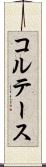 コルテース Scroll