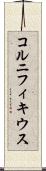 コルニフィキウス Scroll