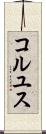 コルユス Scroll